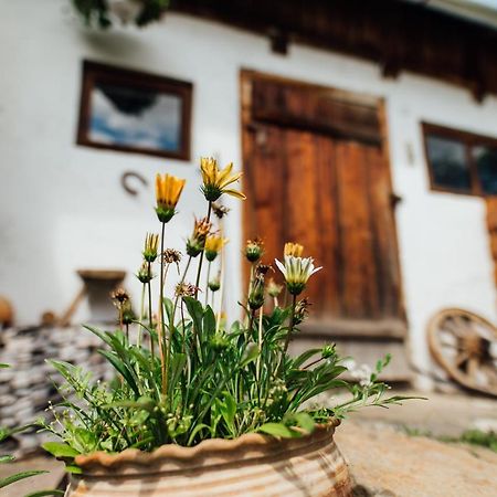 Szitas Rooms Parajd Kültér fotó